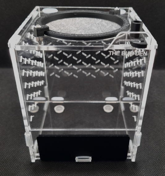 Enclosures – The Bug Den