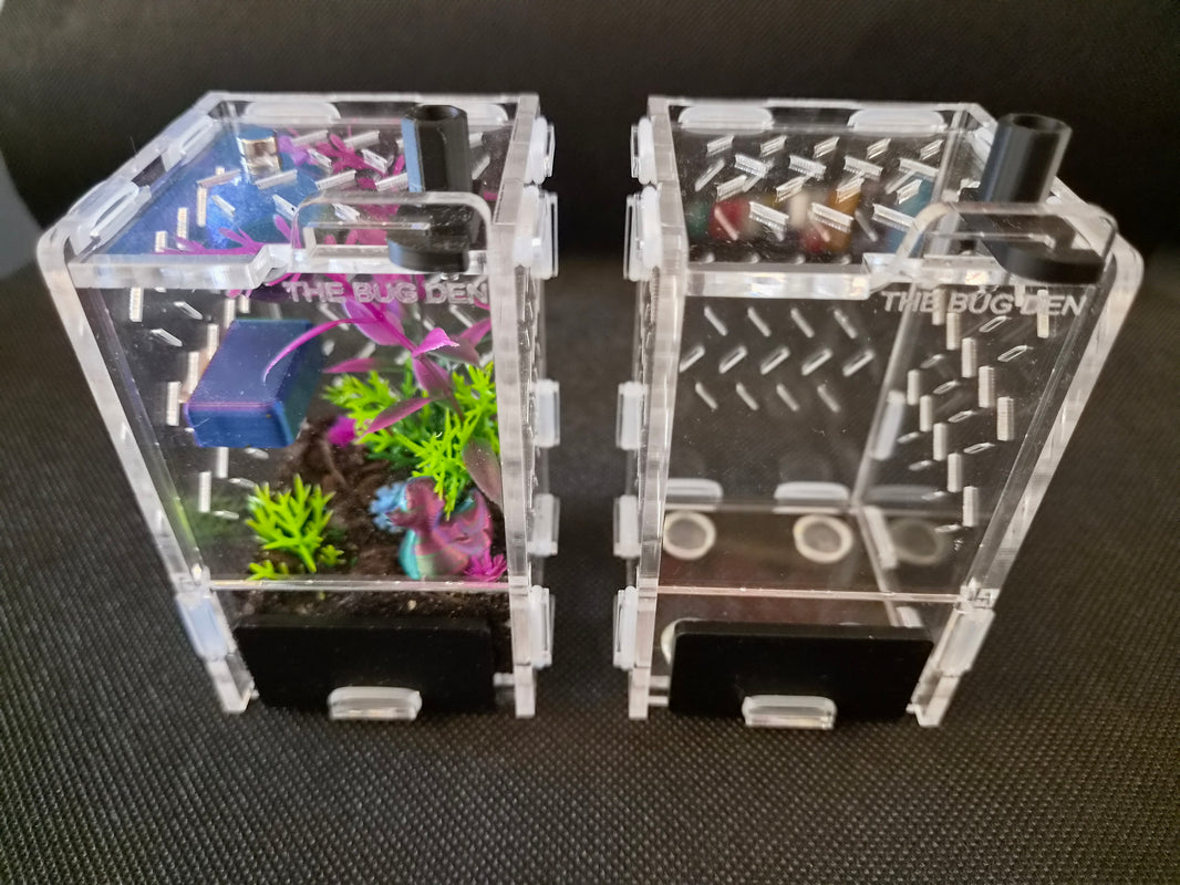 Enclosures – The Bug Den